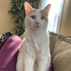 Meet your Posher, Meredith